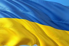 Подсчитано число поддержавших Украину оружием стран
