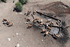 Европа потеряла миллиарды евро из-за непогоды