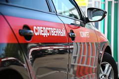 Начавшие массовую драку возле российской школы подростки попали под следствие