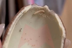 Москвичи купили шоколадное яйцо в «Перекрестке», вскрыли его и нашли внутри червя