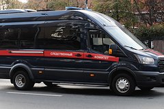 Появились подробности расправы российской школьницы над матерью