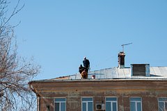 В Подмосковье пожаловались на жизнь под открытым небом в доме без крыши